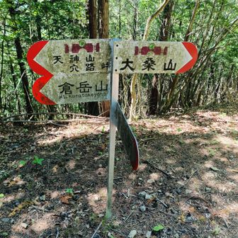 方向板