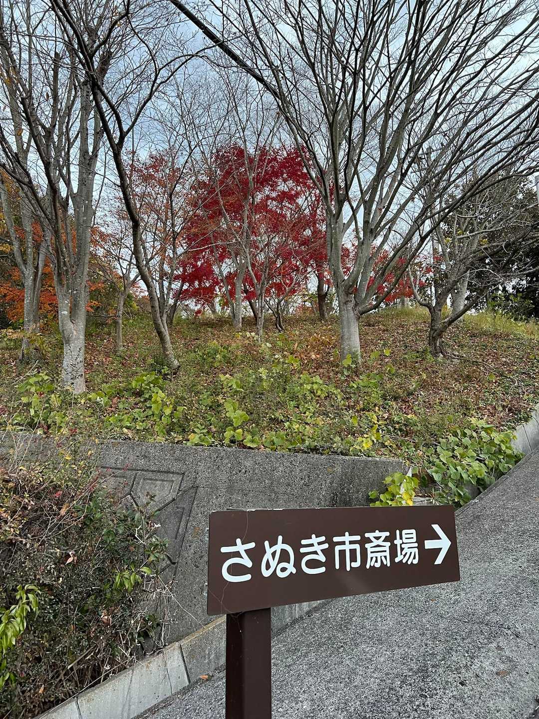 雨滝山-雨滝山登山口 往復コースの写真