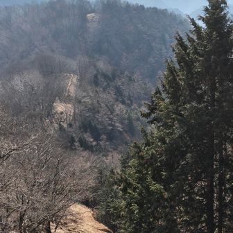 川苔山へ向かう山道がパカーンと十戒のように開けている
後に知ったが、これは山火事延焼を防ぐ防火帯のようです