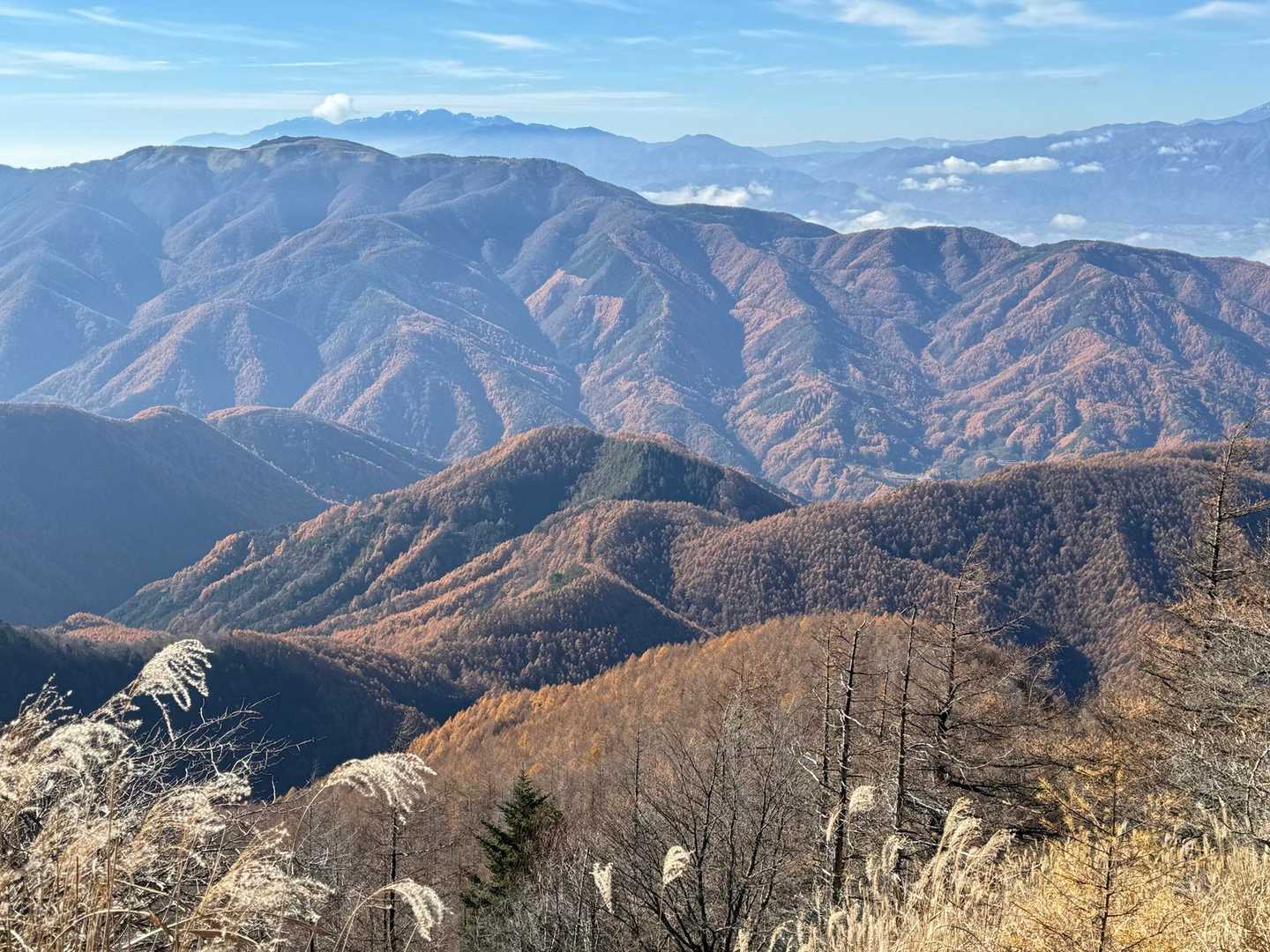 桜清水登山口-王ヶ鼻-美ヶ原 周回コースの写真
