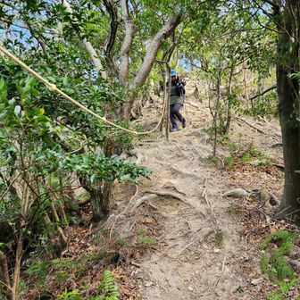 こちらも戻り慎重に