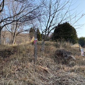 ゴルフ場の横からスタート▶️