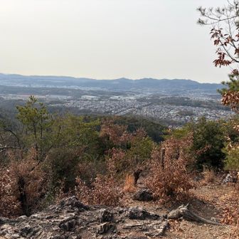 東可児の住宅地が見えます。