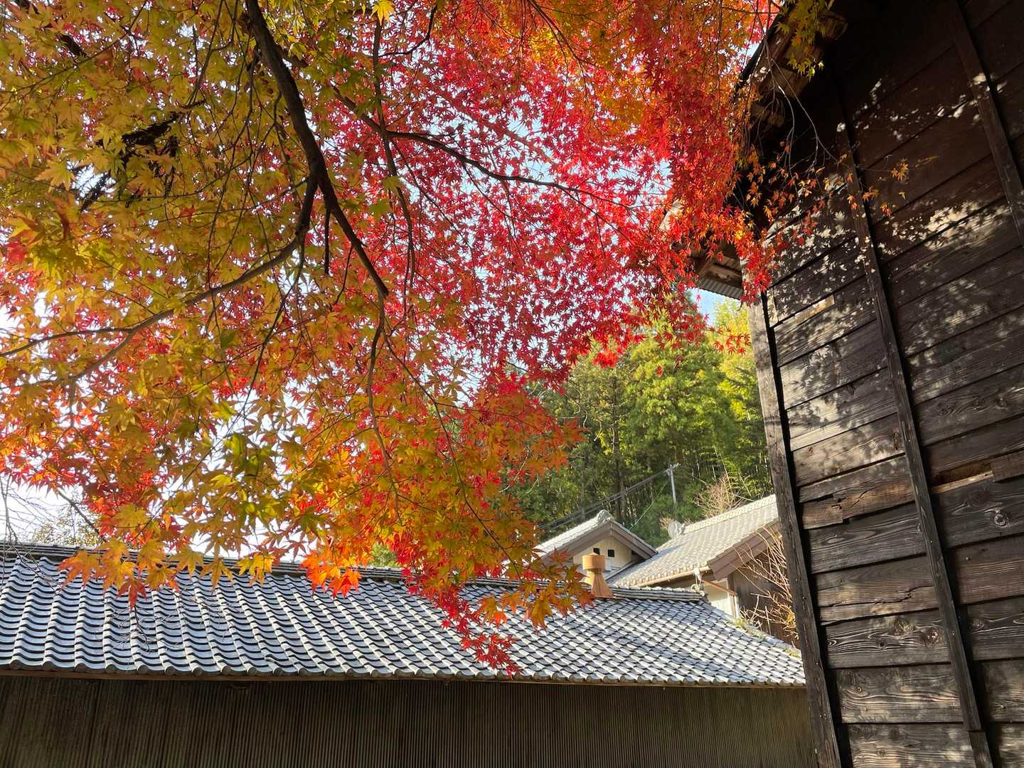 登山口はまだまだ秋🍁