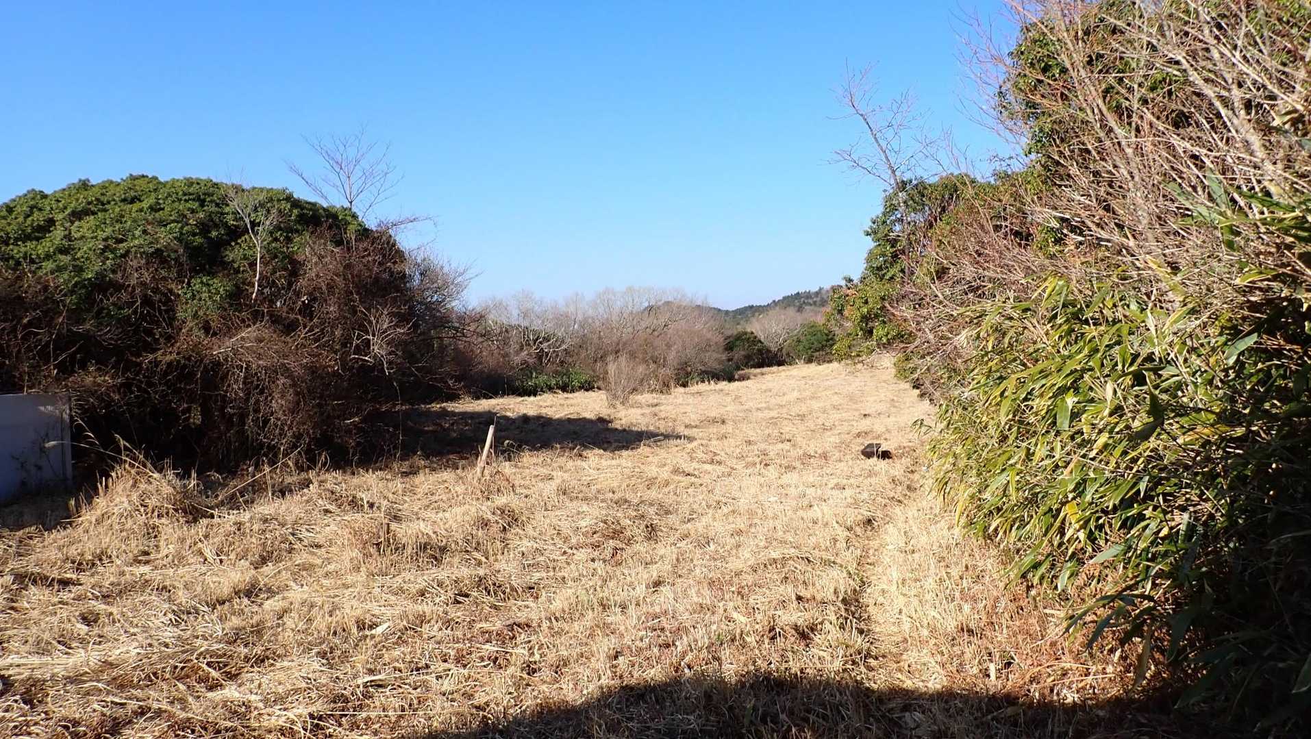 広いところに出て