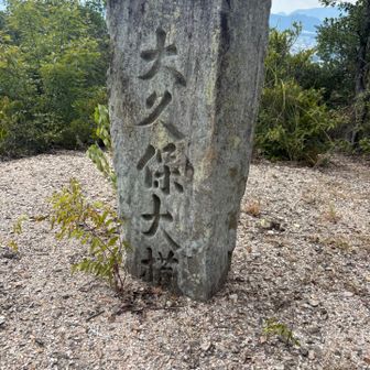 大久保大権現と書いてるのかな