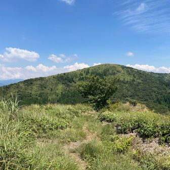 雨山からみた天山