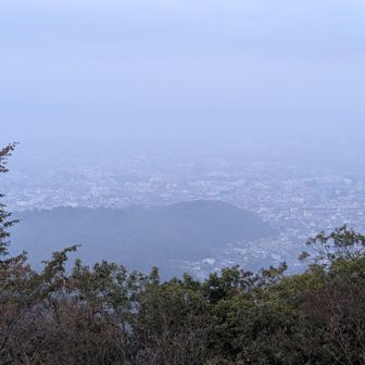戻りました