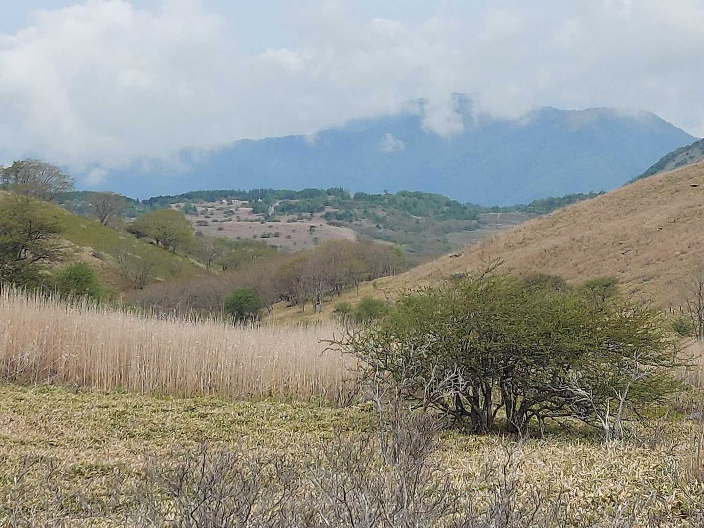八島湿原が眼下に…