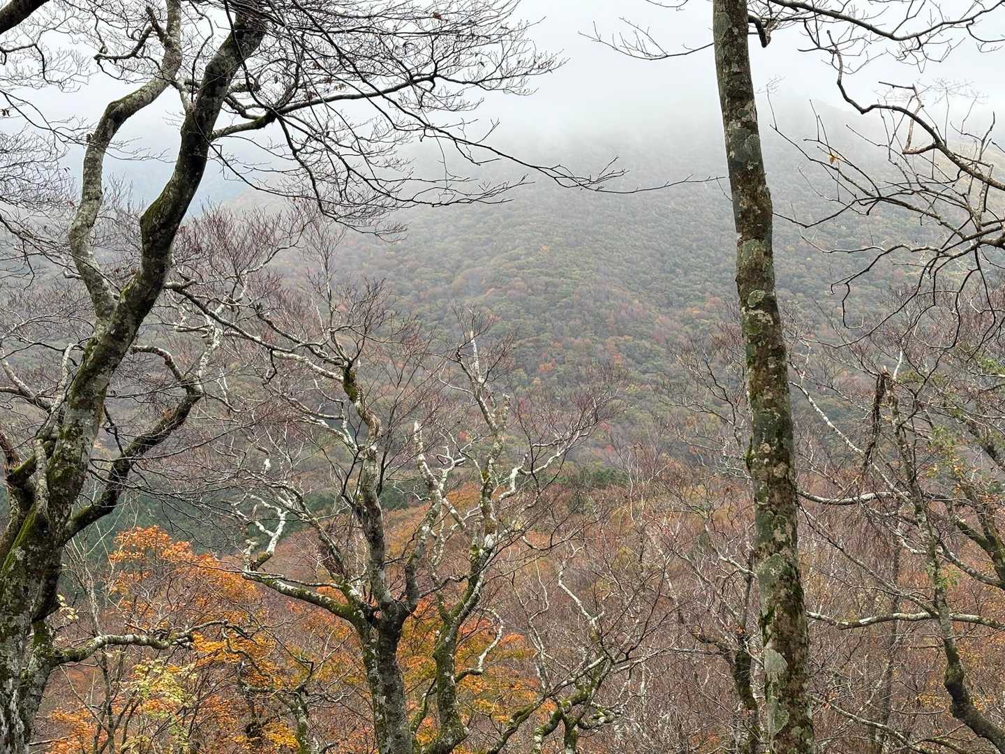 出雲峠に着くと雨の気配が感じられないので池ノ段を目指します〜
ただ、稜線は雲に覆われており、山頂からは全く景色を望めず、ただひたすら目的地に向かって縦走するのみ…