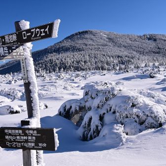 本日はここまで