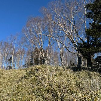 高デッキ、お邪魔しました