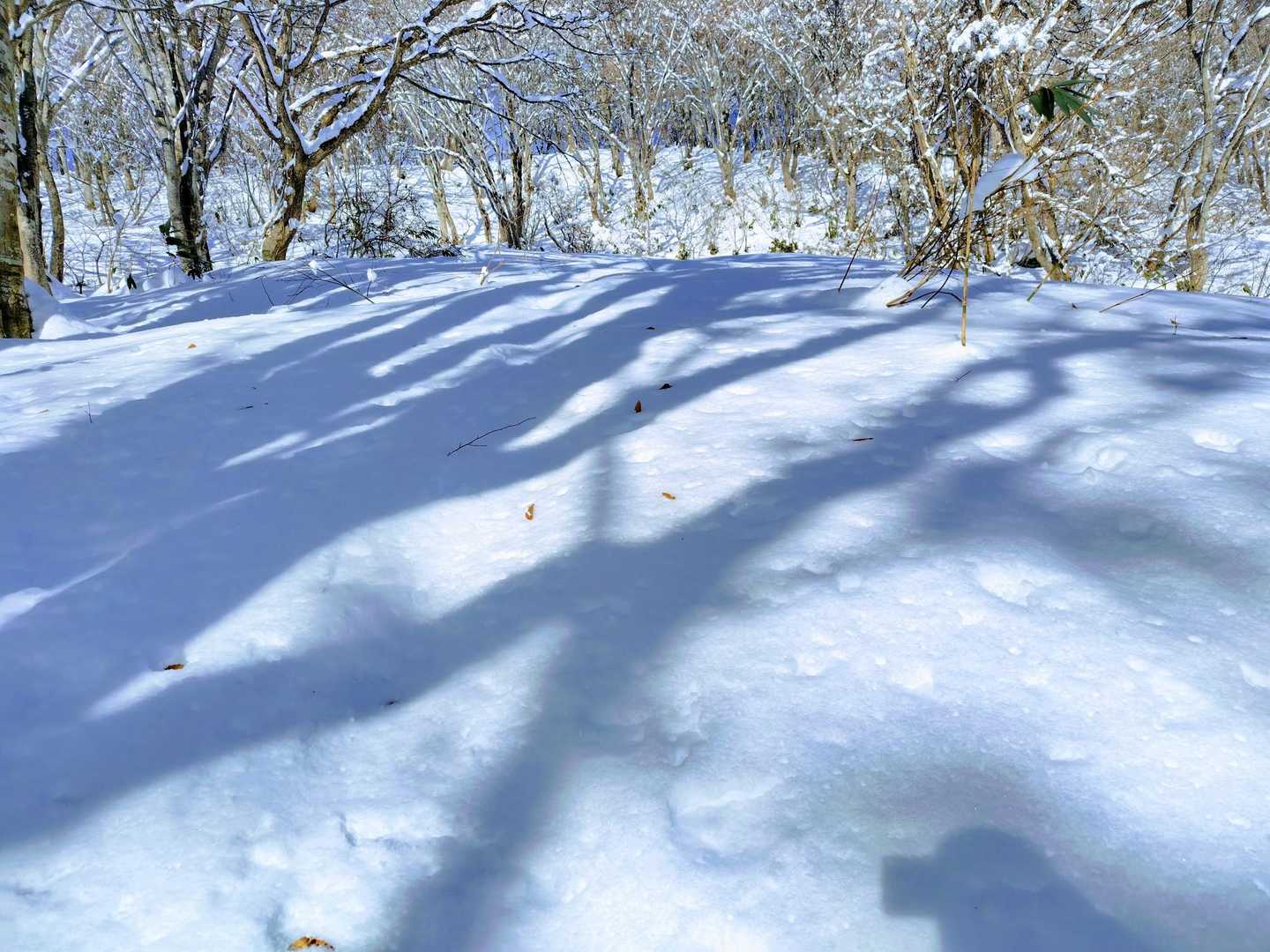 だんだんラッセル度増す。