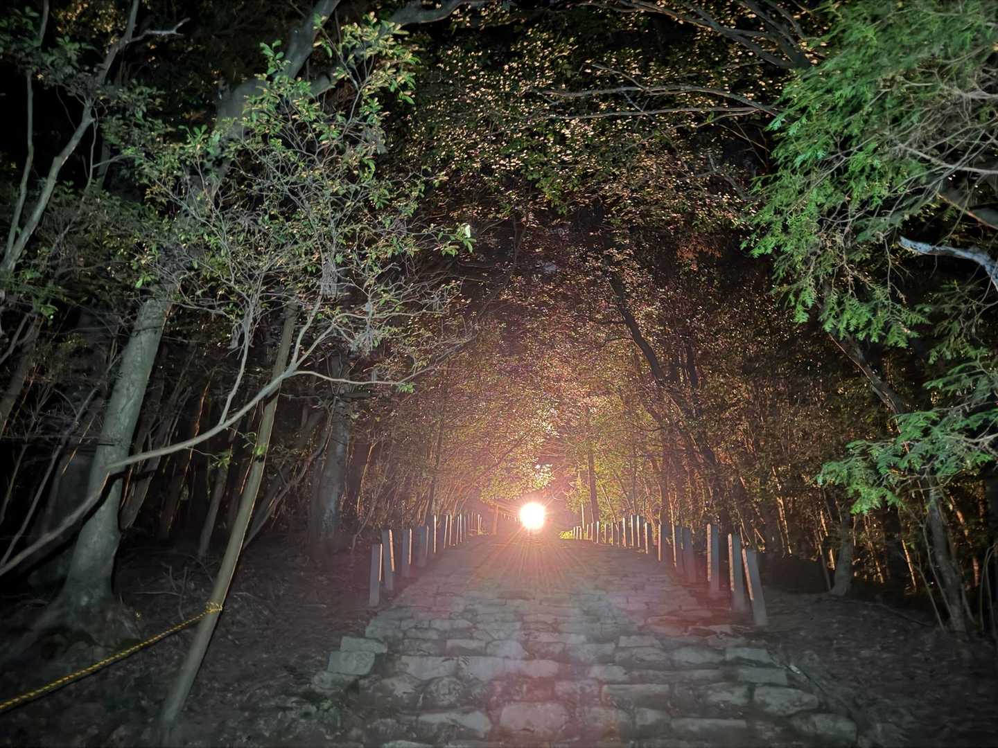 松小田登山口 往復コースの写真