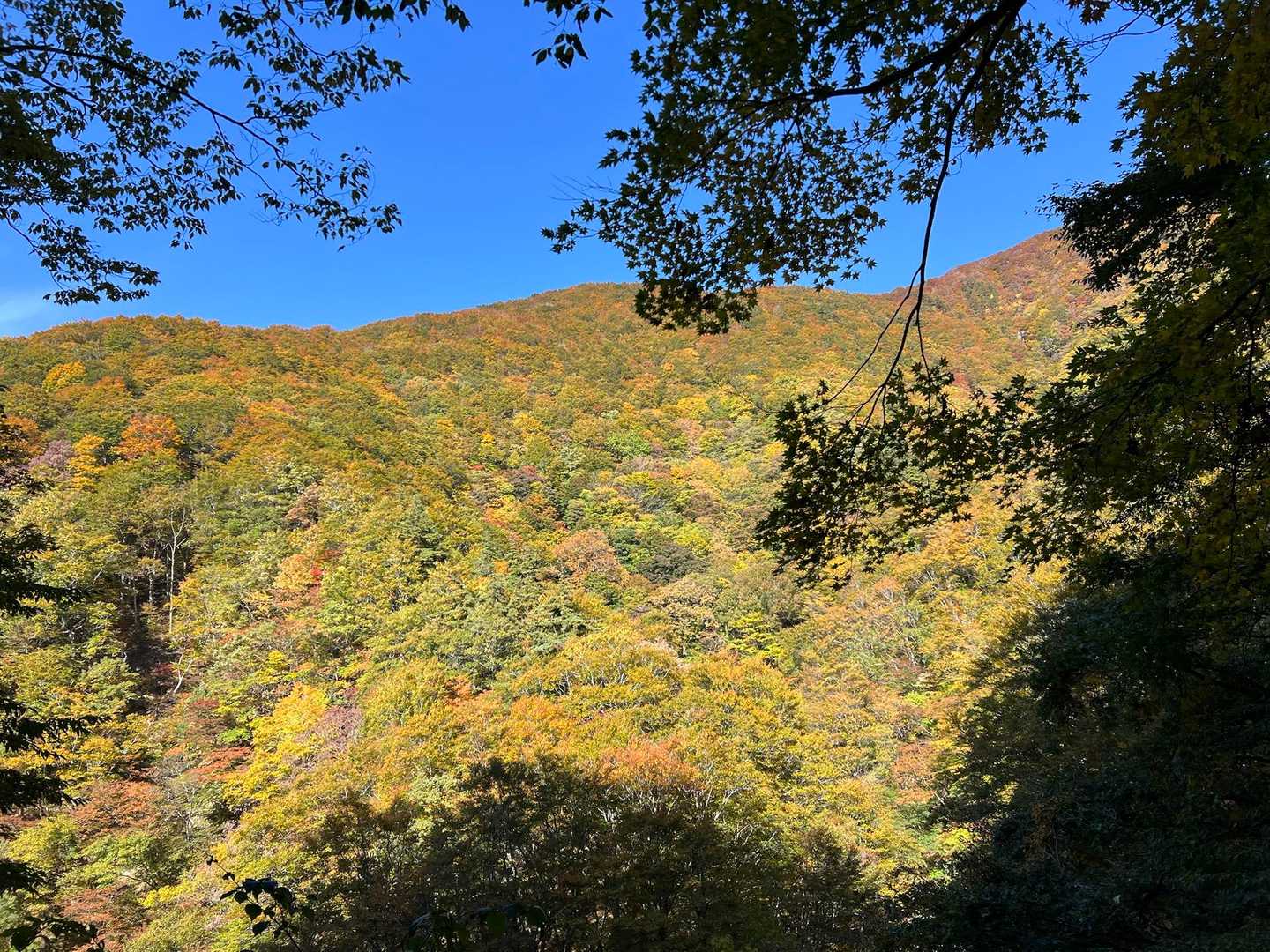 帰りにもう一度
この色鮮やかな山肌を〜