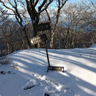 コヤマノ岳山頂