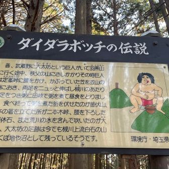 可愛い♡ダイダラボッチ