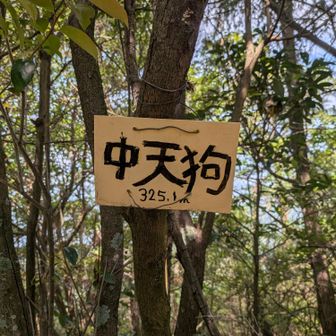 中天狗イタダキました👺
