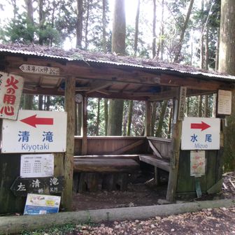 水尾分かれ