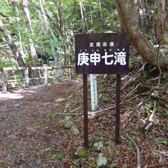 なかなか良かった♥️