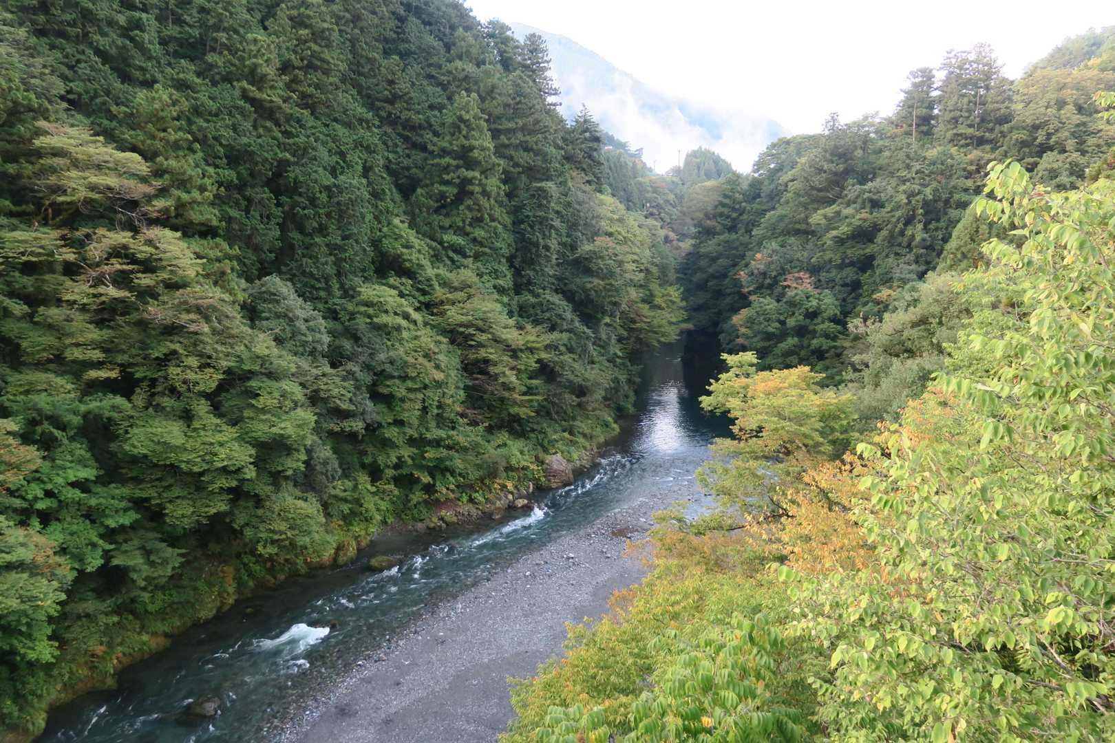 奥多摩駅-愛宕山登り口-愛宕山-鋸山-中岩山-トバノ岩山- 縦走コースの写真