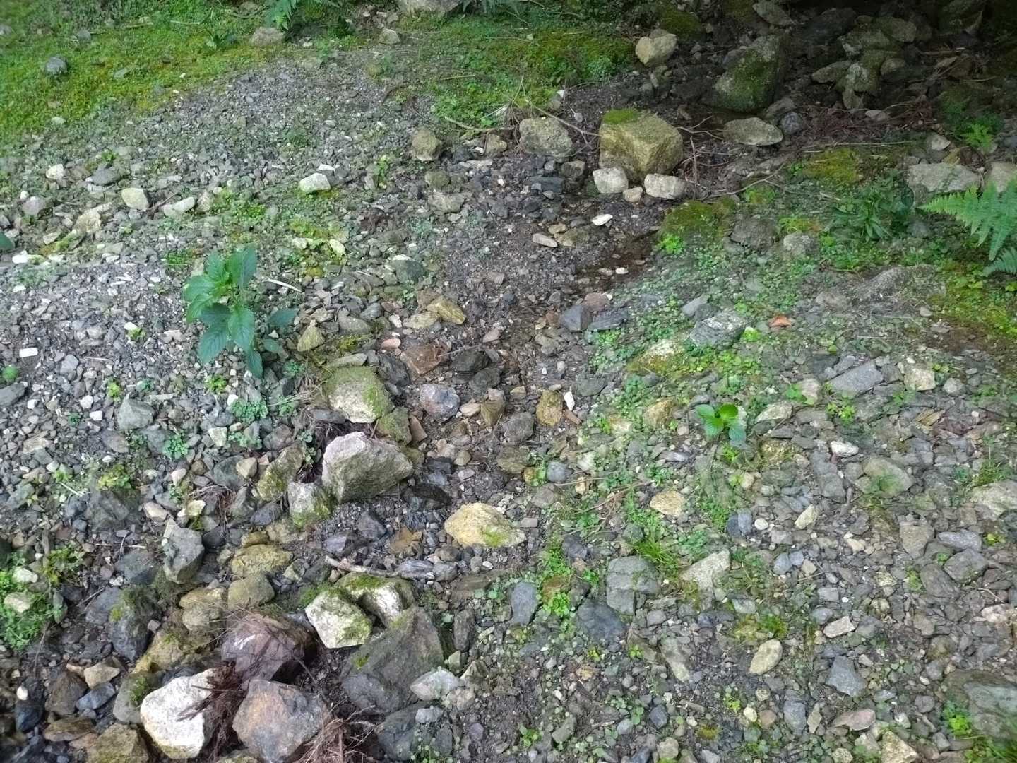 6月に来た時はもっと水が流れてた登山口の水場
ほぼ枯れてました