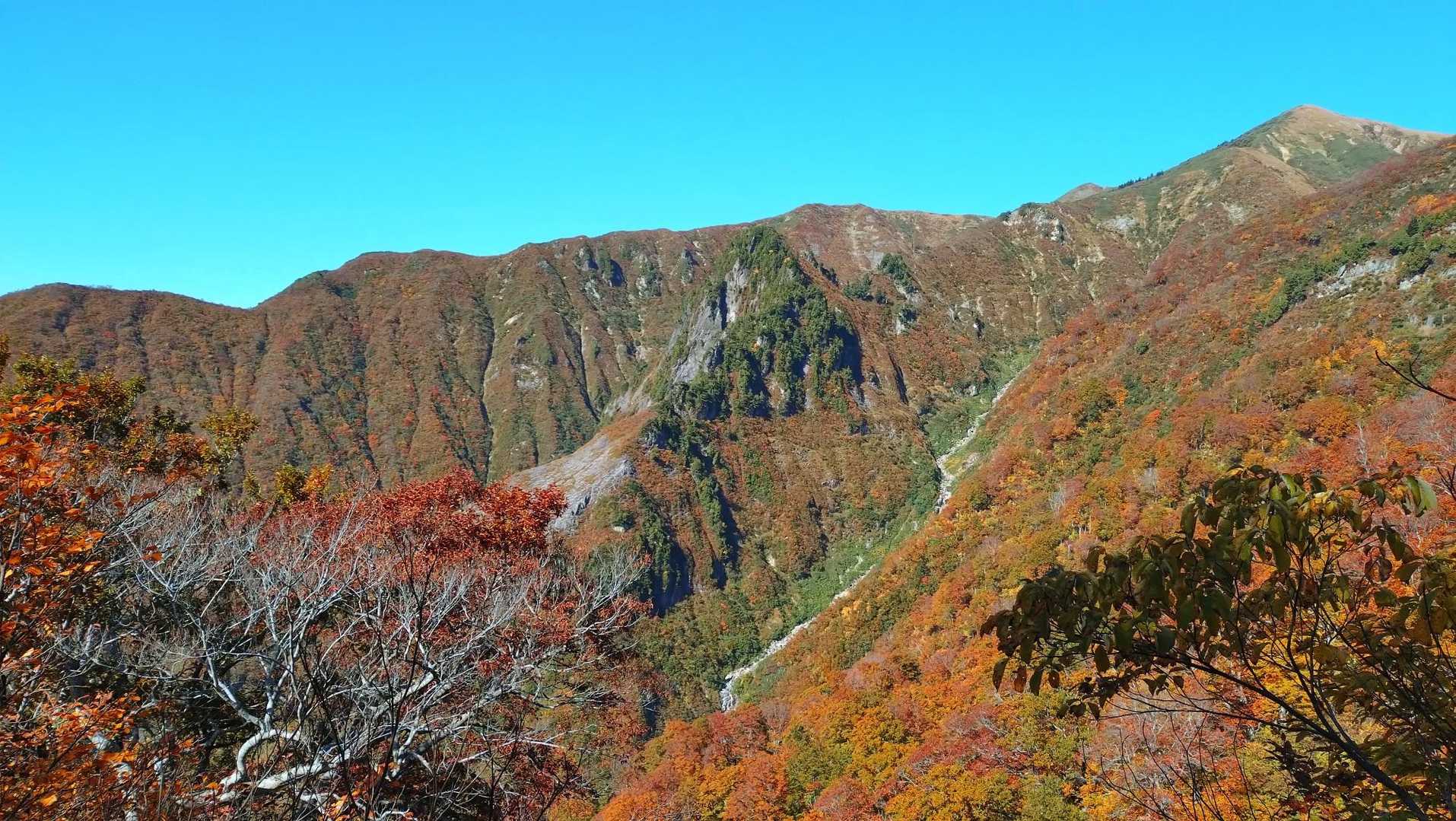 この沢沿いに登りました🚶