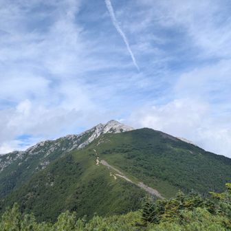 あそこから降りてきたなんて