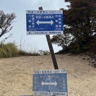 最高点。山頂は少し先。