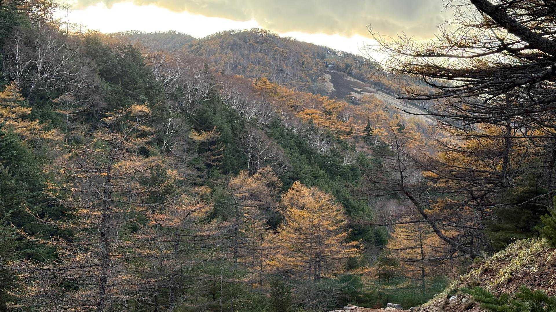 車坂峠-車坂山-黒斑山-蛇骨岳-鋸岳-Jバンド 周回コースの写真