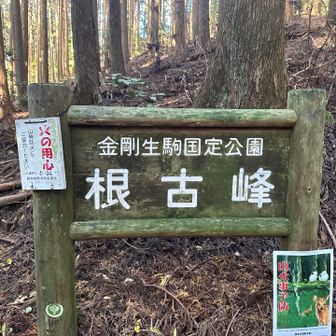 前に根古峰の山頂に行ったので今回はパス！ここも100mルールでピーク取れます(^^)
