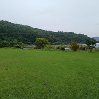 ここまで