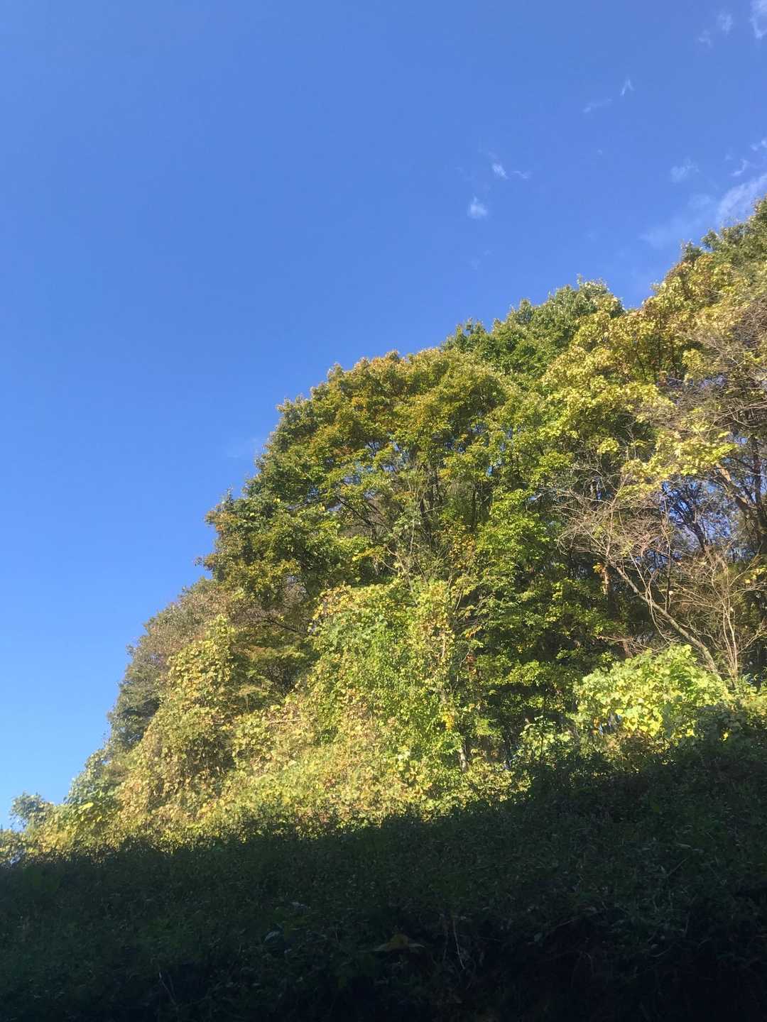 何かと思ったら、ちっちゃい雲☁️