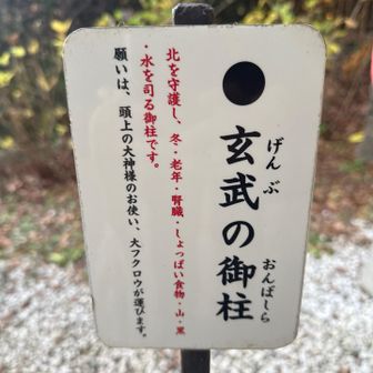 玄武の御柱。
願いは大フクロウ🦉が選ぶが…。

是非とも死ぬまで山を登らせてほしい🙏