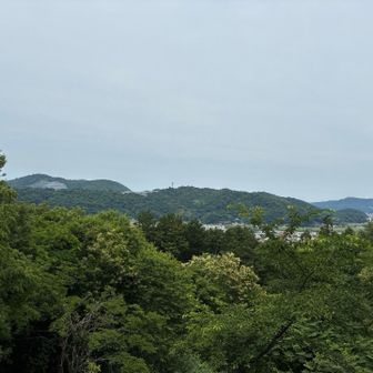 登って、やっぱりね。