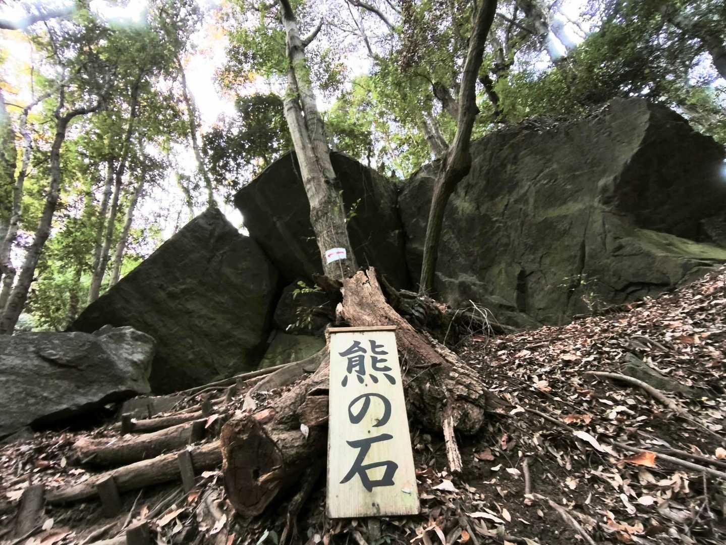 大きくて黒いから🐻？
存在感あります