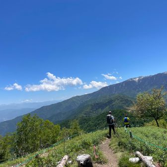 青空の中、新緑を爽やかな風が吹き抜け素晴らしかった