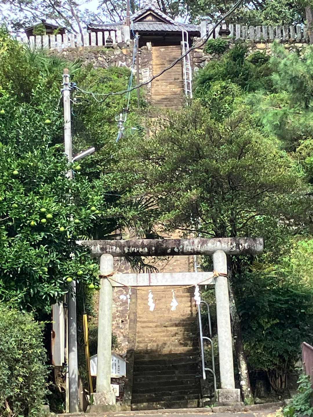結構　急な階段　です♪