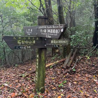 でたな、九州自然歩道。