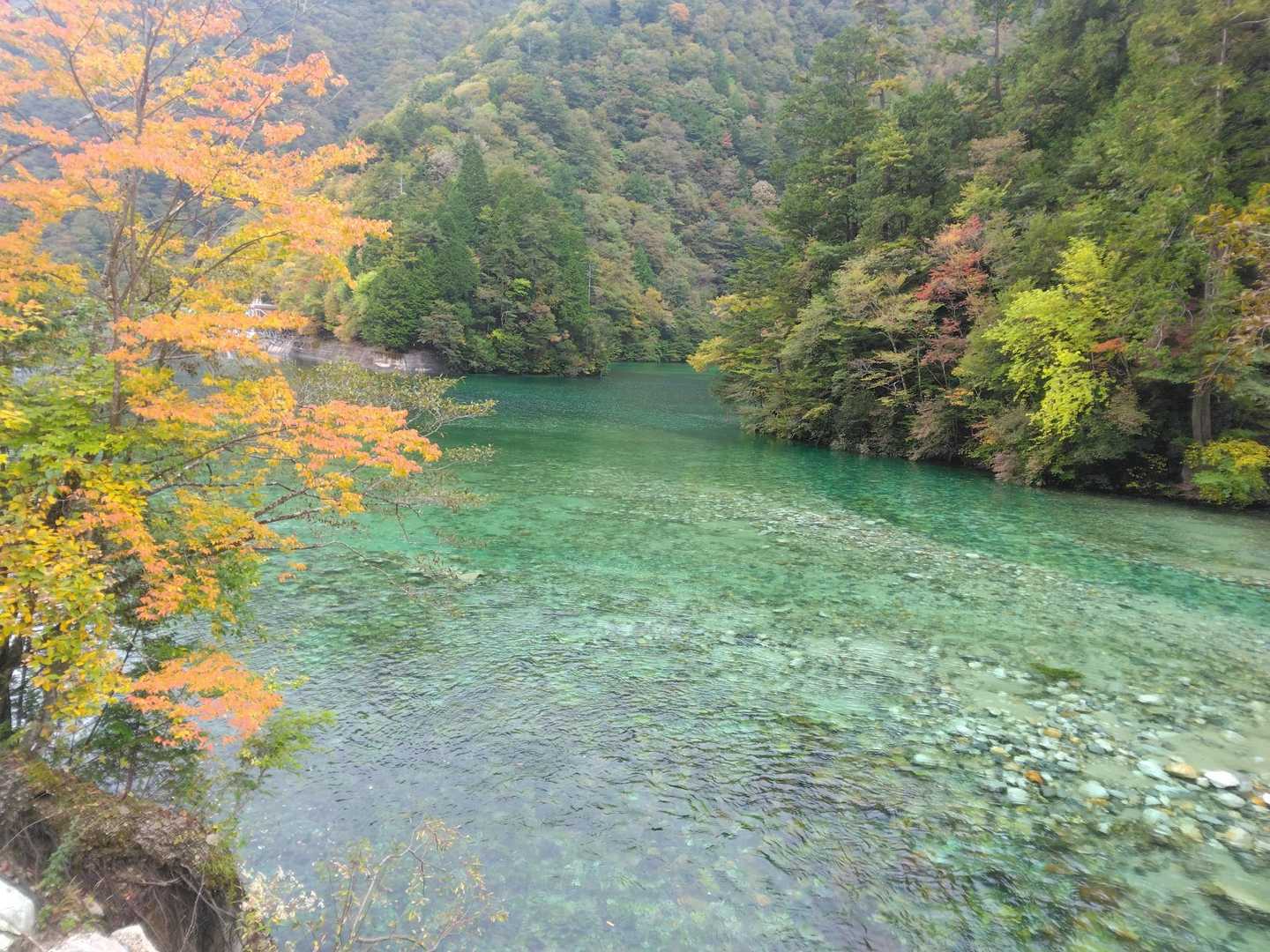 ダムの水ってどんよりした色のイメージやけど、伊那川ダムはめっちゃキレイ。
