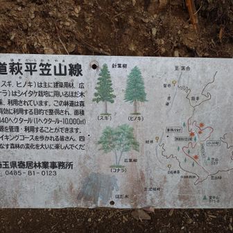 説明気になったのでパシャリ。