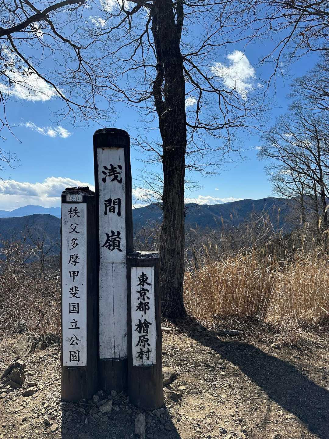 木の右に富士山見えてるんだけど、少し雲がかかっちゃいました