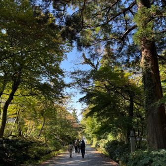 今日の大山は人が多かった😆、いつも貸し切りだから笑