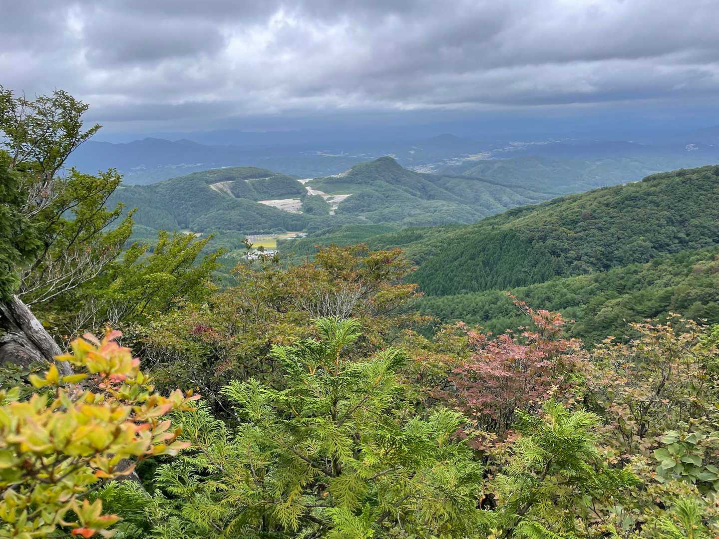 気温も快適、秋の気配でした☺️