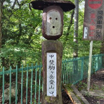 面白い😁