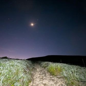 ヘッ電が照らす先の空がモノクロから紫のグラデーション⬛️→🟪
この時点で、気をせいて慌てるとまた転んでしまう🤕
昨日からの腰痛も最強のシップ〝ロコアテープ〟の2枚ばりで持ち直した✌️
兎にも角にも、安全第一👷