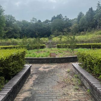 さぬき空港公園内。微妙に荒れがち。特に階段降る時が、右足首痛いですね。