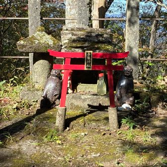 ⛩️