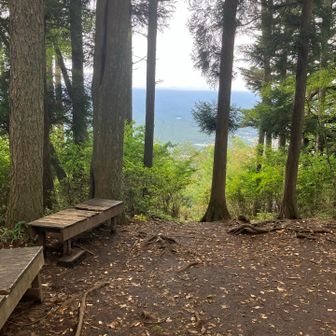 山頂部のベンチの横に、わずかな眺望。
ほんと、この隙間だけ。
ちなみに富士山側の景色になります。