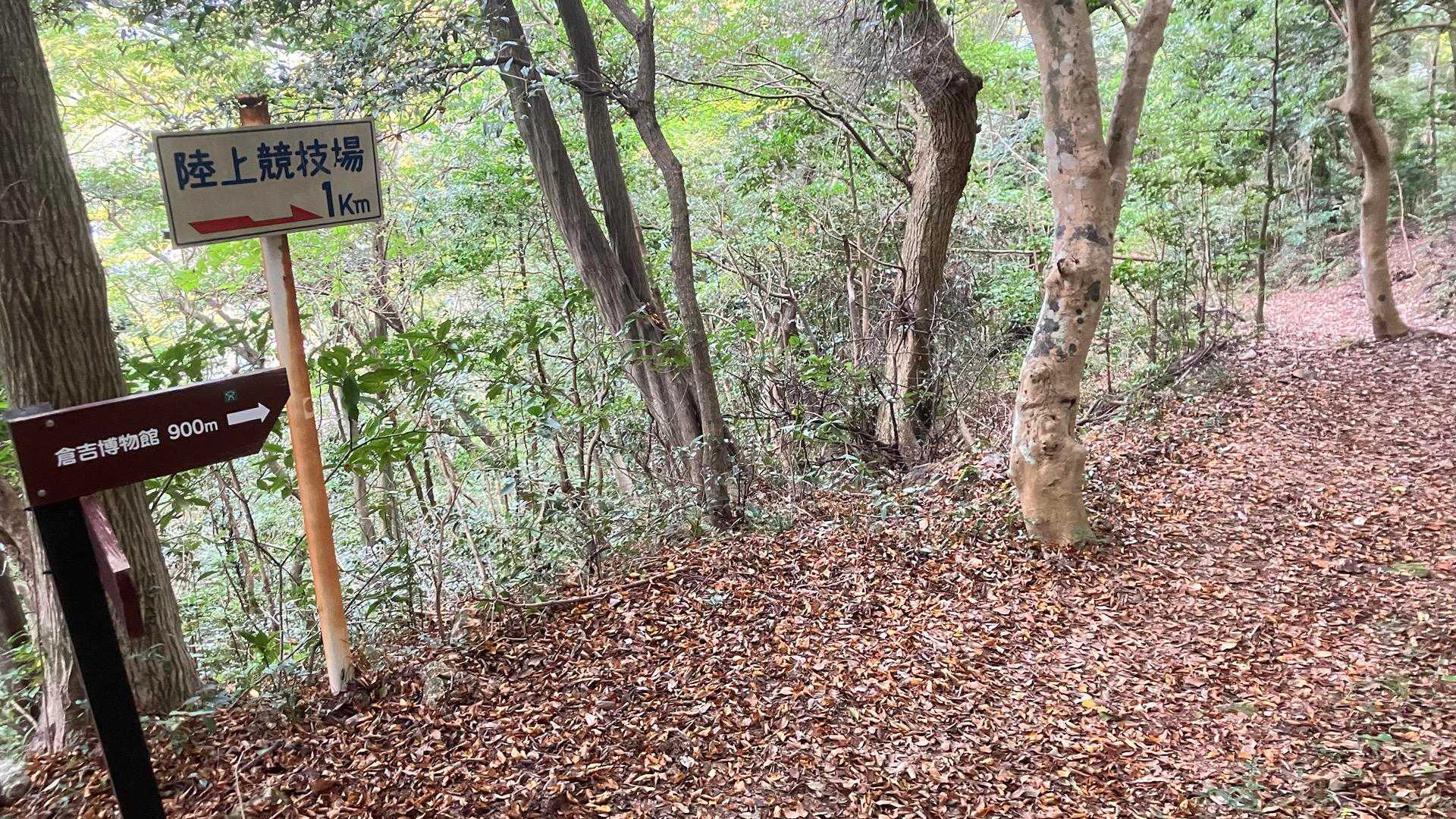 こちらのルートは里山らしい道です。